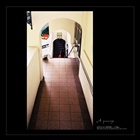 dailyPhoto1